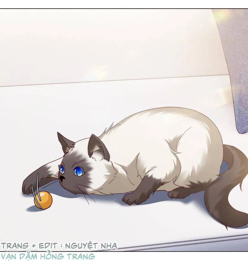 Cô ấy đến rồi, xin hãy nằm xuống! Chapter 274 - Trang 15