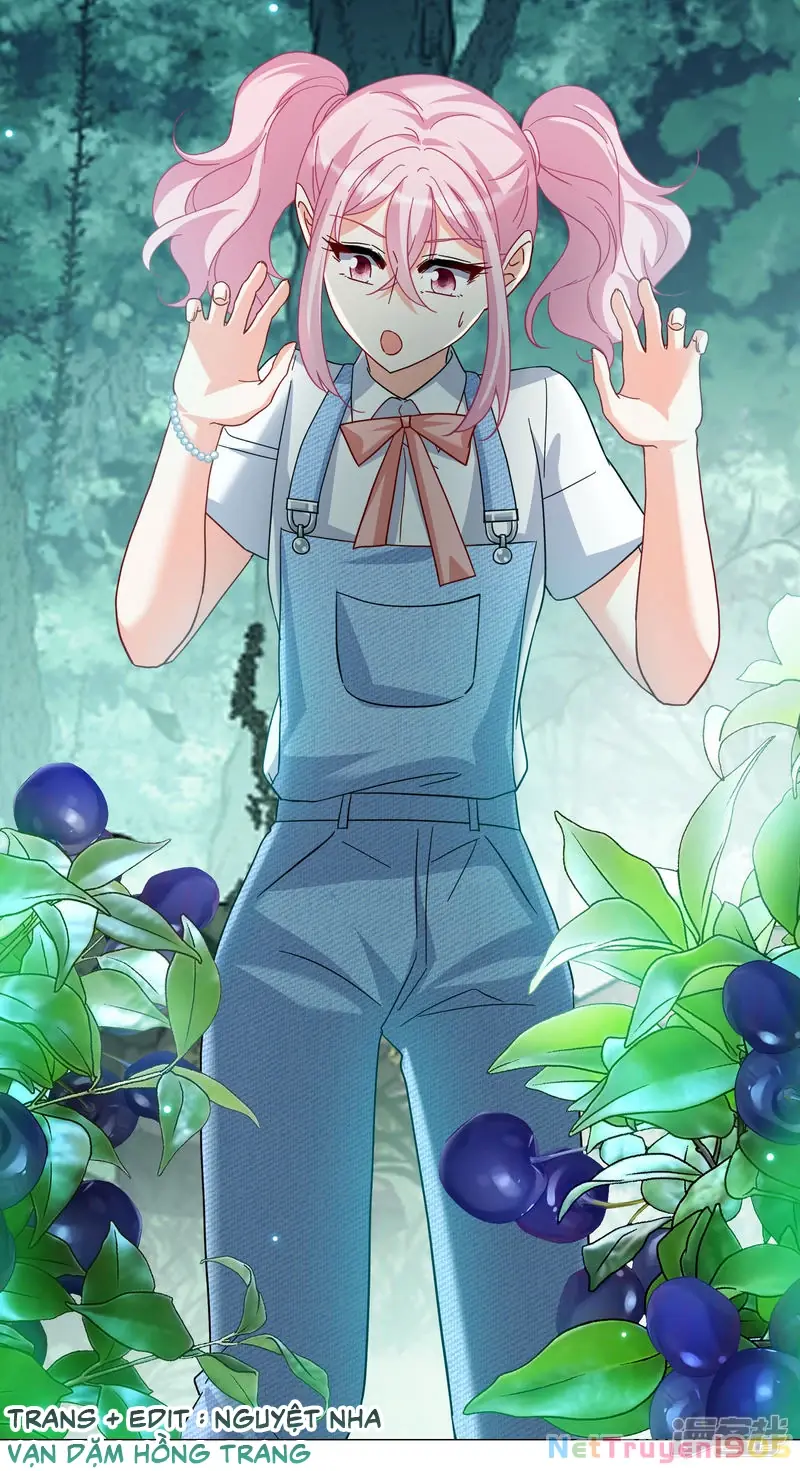 Cô ấy đến rồi, xin hãy nằm xuống! Chapter 284 - Trang 17