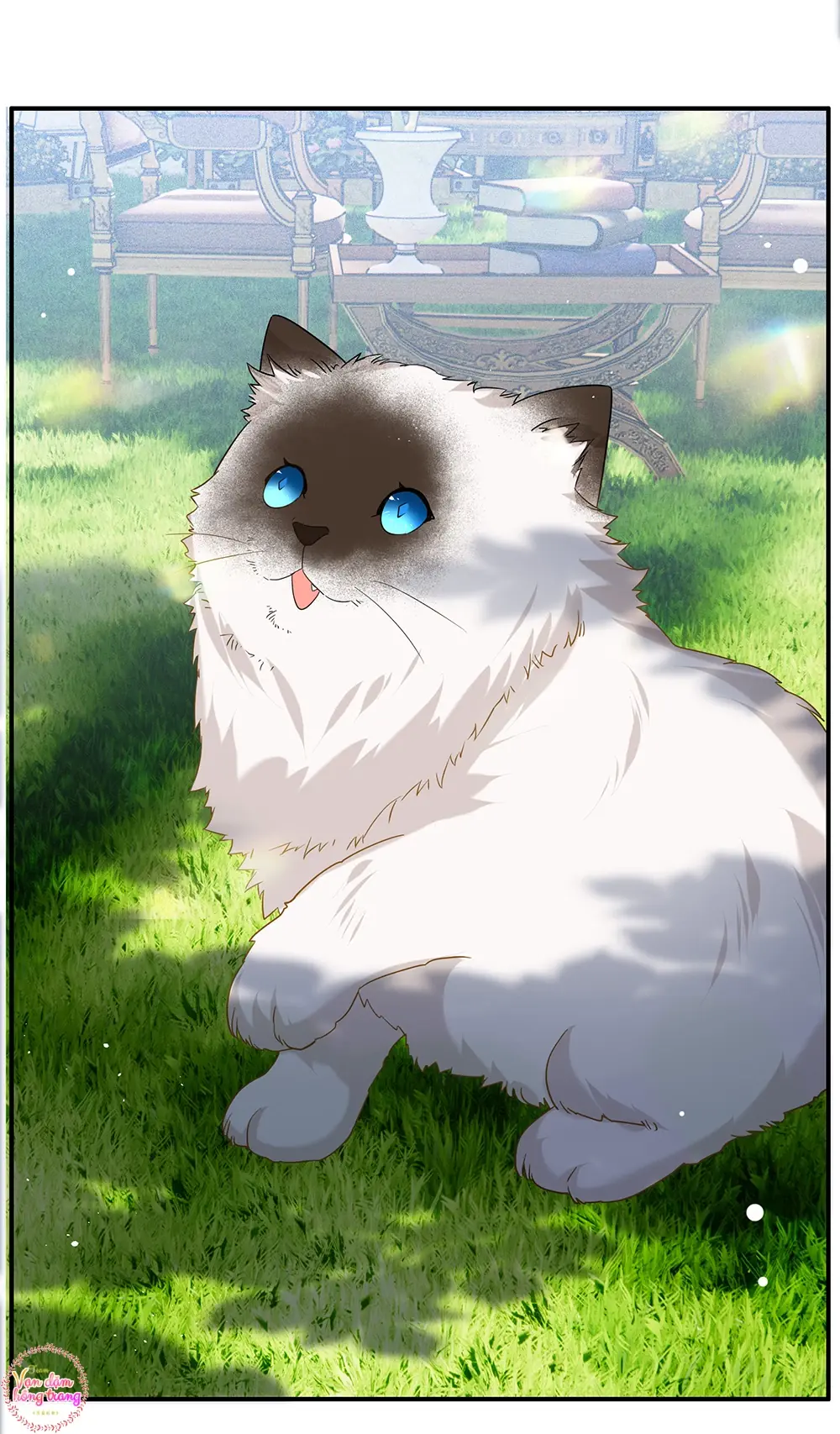 Cô ấy đến rồi, xin hãy nằm xuống! Chapter 333 - Trang 20