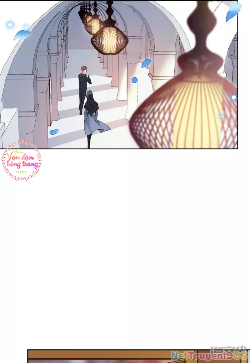 Cô ấy đến rồi, xin hãy nằm xuống! Chapter 35 - Trang 9