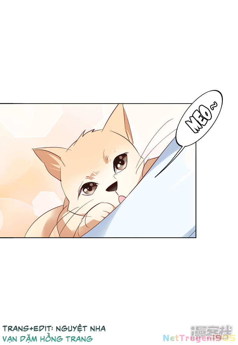 Cô ấy đến rồi, xin hãy nằm xuống! Chapter 70 - Trang 23