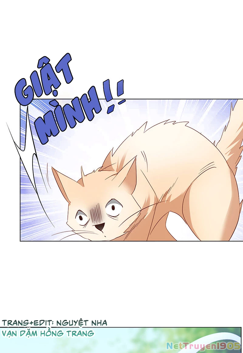 Cô ấy đến rồi, xin hãy nằm xuống! Chapter 70 - Trang 27