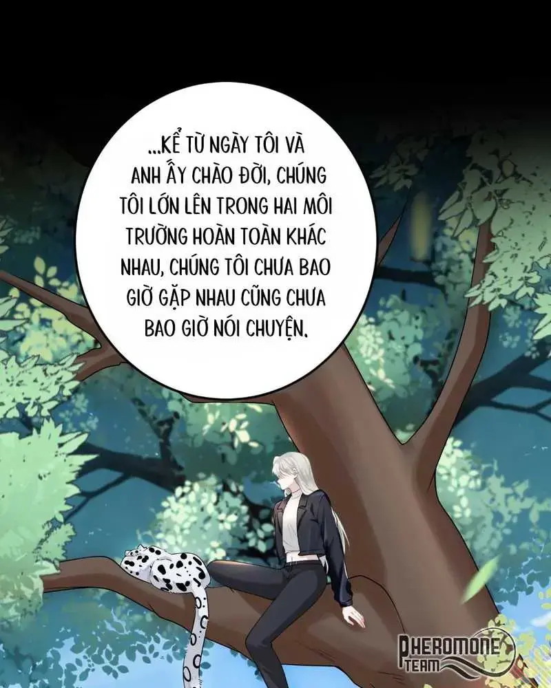 Cô Ấy Dường Như Đang Tán Tỉnh Tôi - Pheromone Chapter 11 - Trang 48