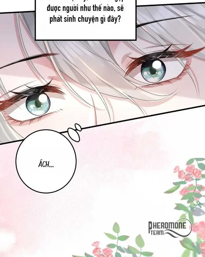 Cô Ấy Dường Như Đang Tán Tỉnh Tôi - Pheromone Chapter 11 - Trang 5