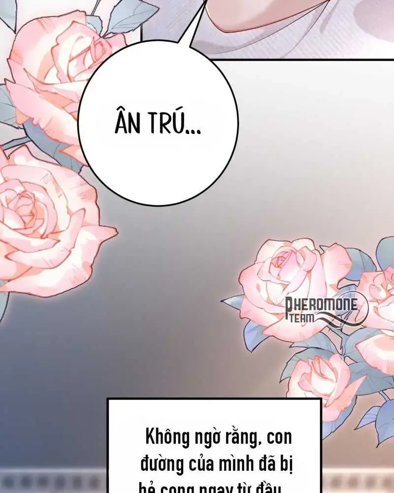 Cô Ấy Dường Như Đang Tán Tỉnh Tôi - Pheromone Chapter 11 - Trang 9