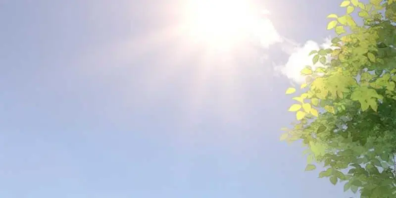 Cô Ấy Dường Như Đang Tán Tỉnh Tôi - Pheromone Chapter 13 - Trang 24