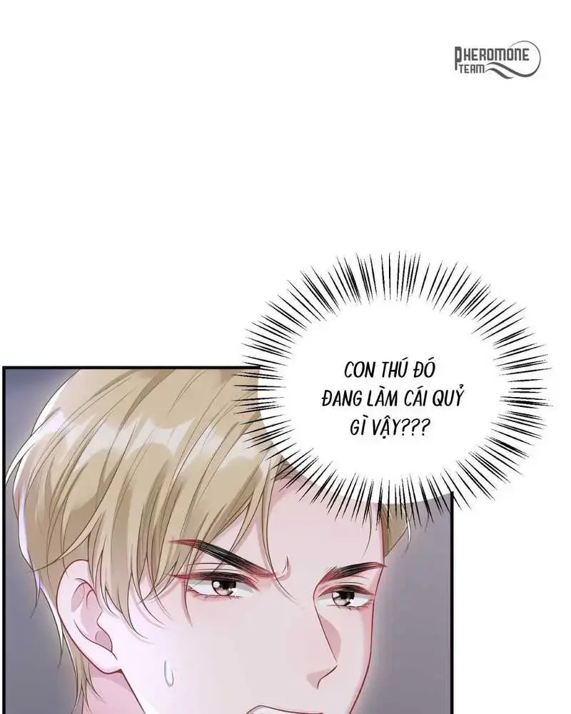 Cô Ấy Dường Như Đang Tán Tỉnh Tôi - Pheromone Chapter 19 - Trang 20