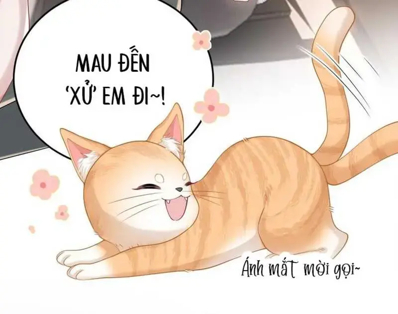 Cô Ấy Dường Như Đang Tán Tỉnh Tôi - Pheromone Chapter 27 - Trang 42