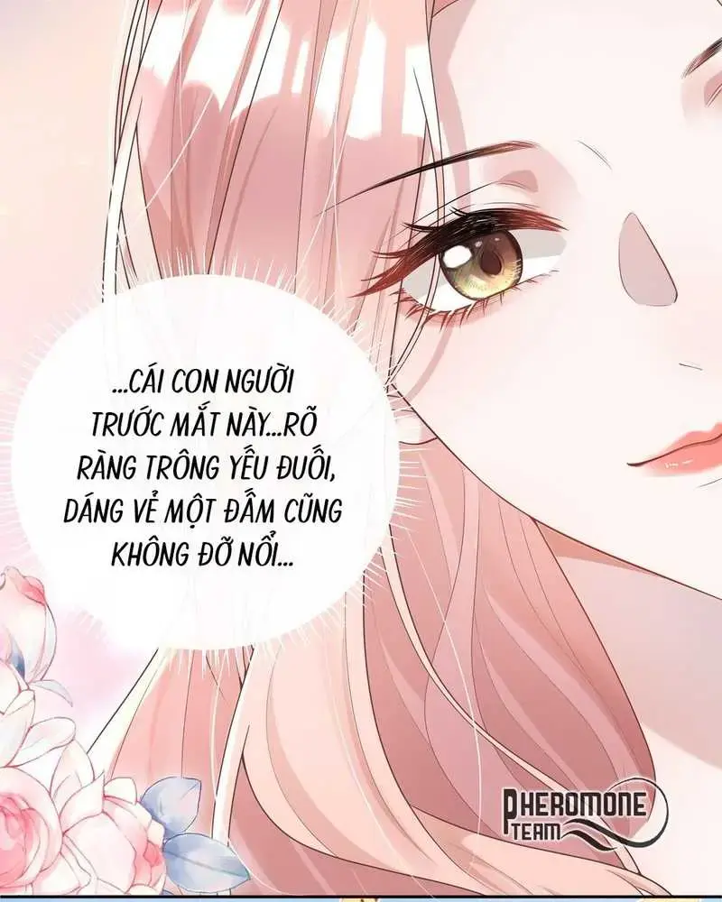 Cô Ấy Dường Như Đang Tán Tỉnh Tôi - Pheromone Chapter 3 - Trang 27