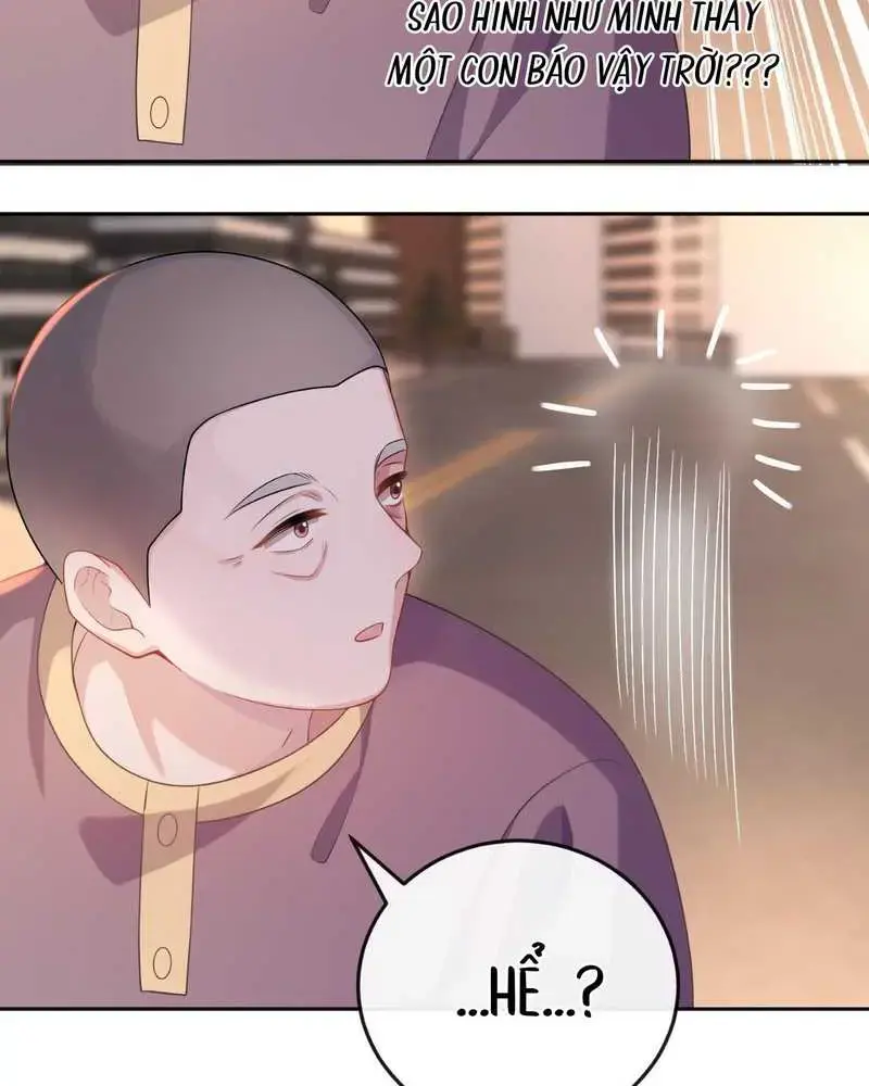 Cô Ấy Dường Như Đang Tán Tỉnh Tôi - Pheromone Chapter 5 - Trang 27