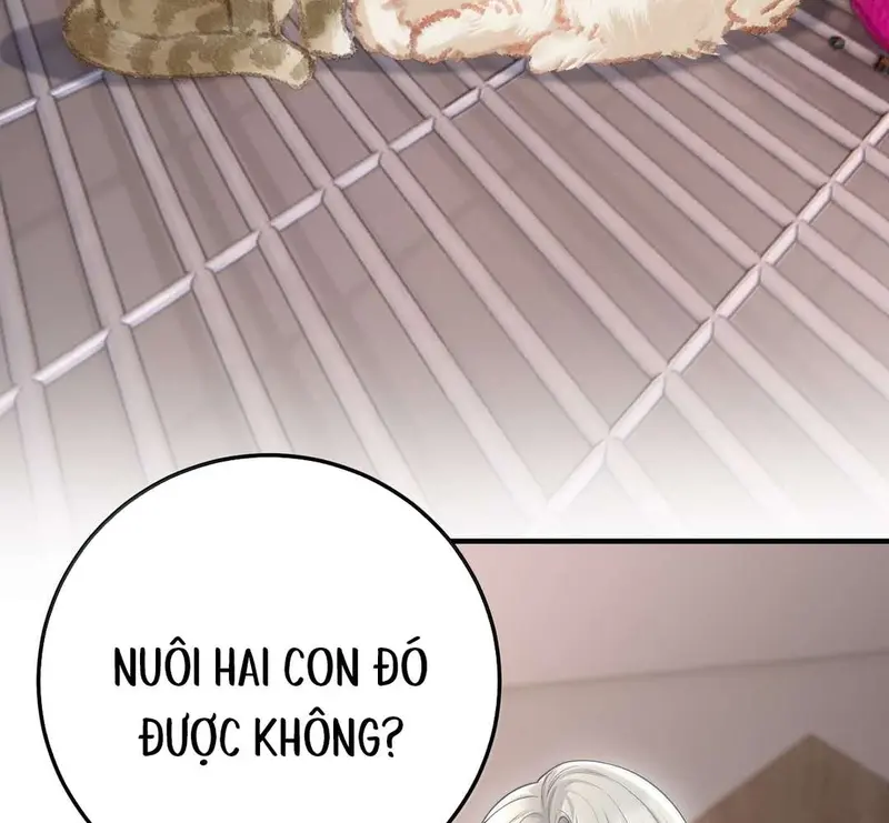 Cô Ấy Dường Như Đang Tán Tỉnh Tôi - Pheromone Chapter 62 - Trang 41