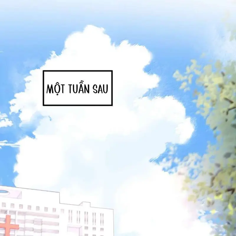 Cô Ấy Dường Như Đang Tán Tỉnh Tôi - Pheromone Chapter 67 - Trang 5
