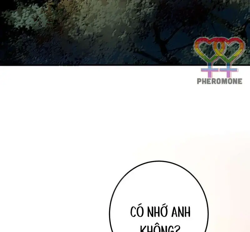 Cô Ấy Dường Như Đang Tán Tỉnh Tôi - Pheromone Chapter 72 - Trang 48