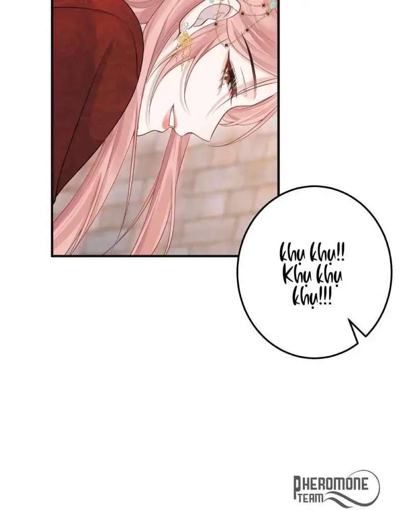 Cô Ấy Dường Như Đang Tán Tỉnh Tôi - Pheromone Chapter 8 - Trang 13