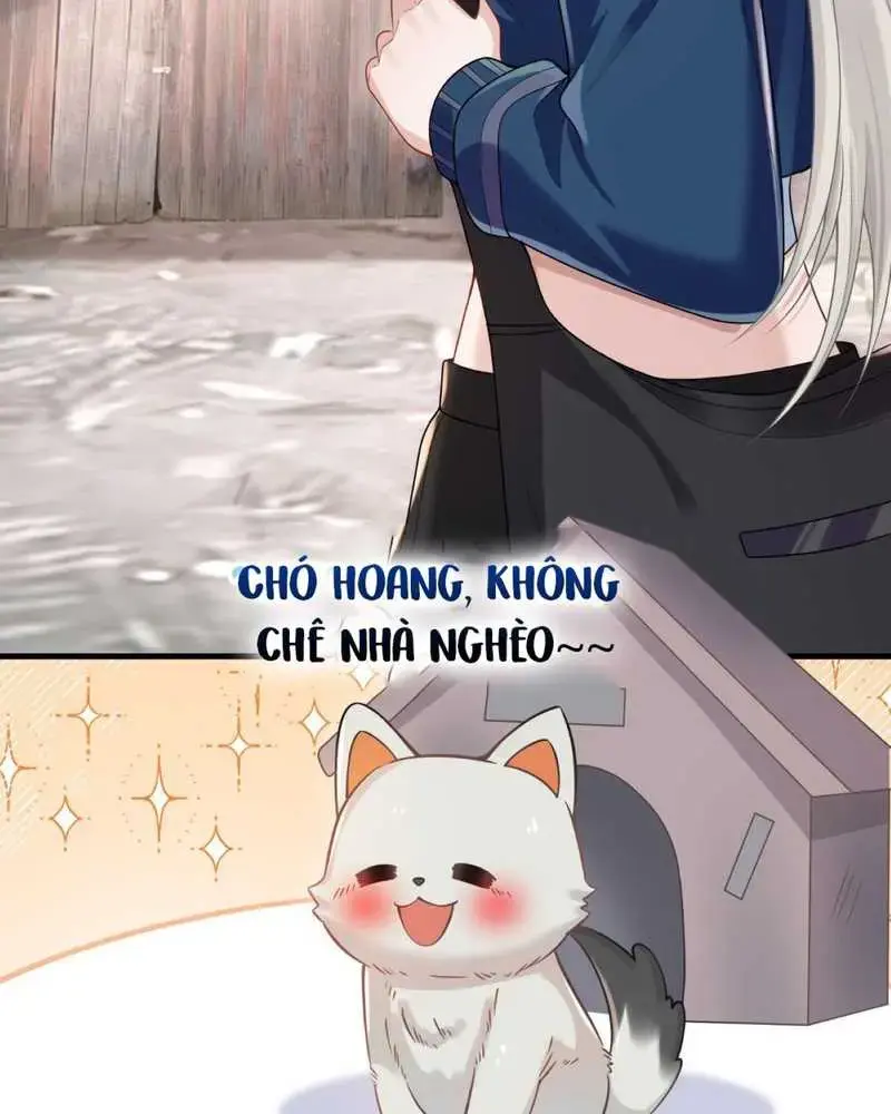 Cô Ấy Dường Như Đang Tán Tỉnh Tôi - Pheromone Chapter 9 - Trang 31
