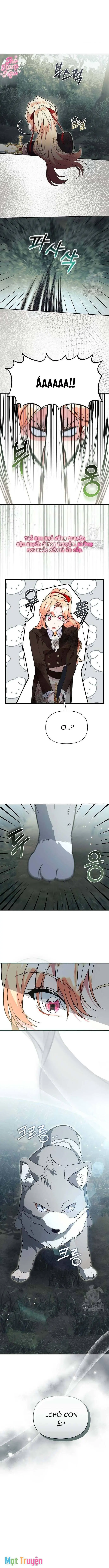 Có Nhiều Nam Chính Quá Đi! Chapter 46 - Trang 12