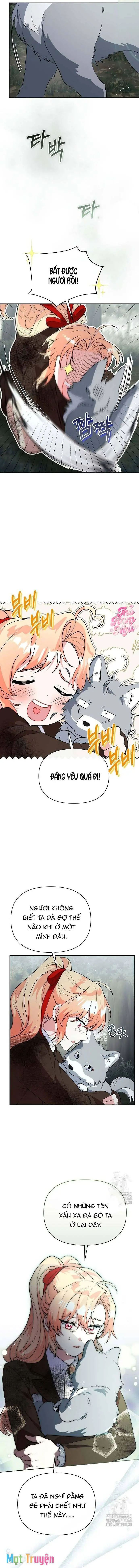 Có Nhiều Nam Chính Quá Đi! Chapter 47 - Trang 10