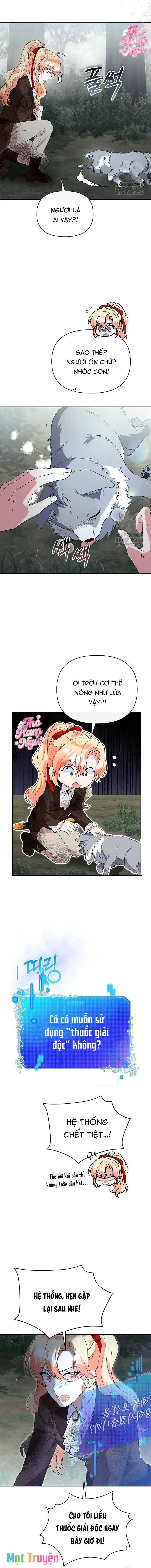 Có Nhiều Nam Chính Quá Đi! Chapter 47 - Trang 6
