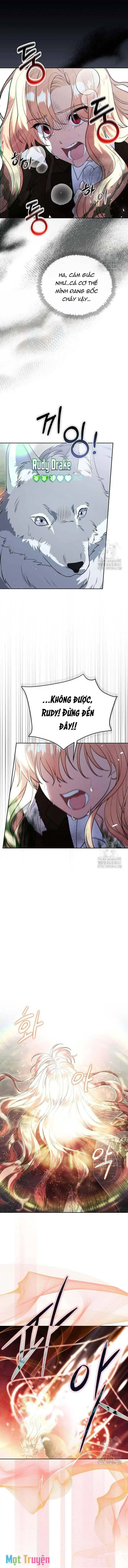 Có Nhiều Nam Chính Quá Đi! Chapter 49 - Trang 5