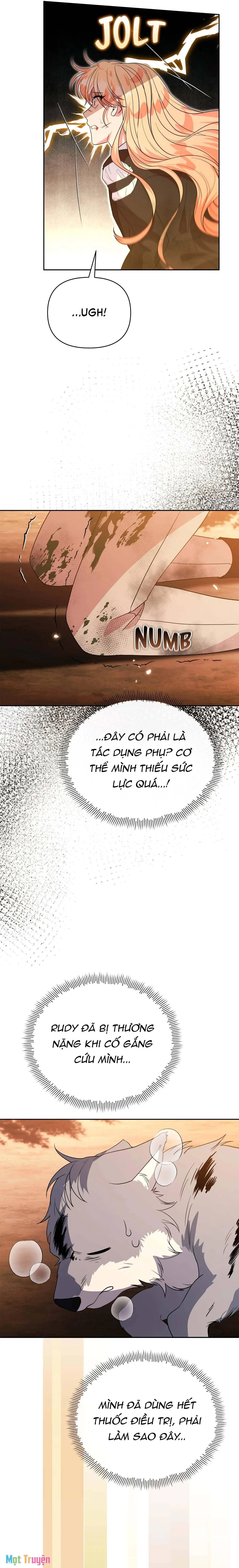 Có Nhiều Nam Chính Quá Đi! Chapter 50 - Trang 12