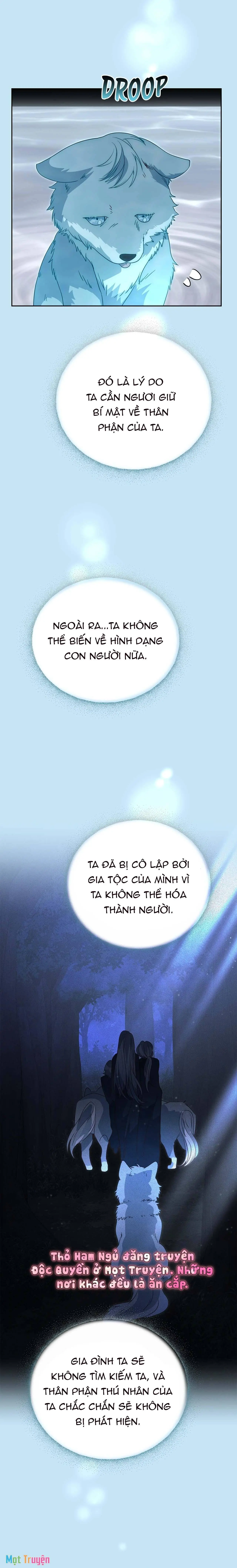 Có Nhiều Nam Chính Quá Đi! Chapter 52 - Trang 22