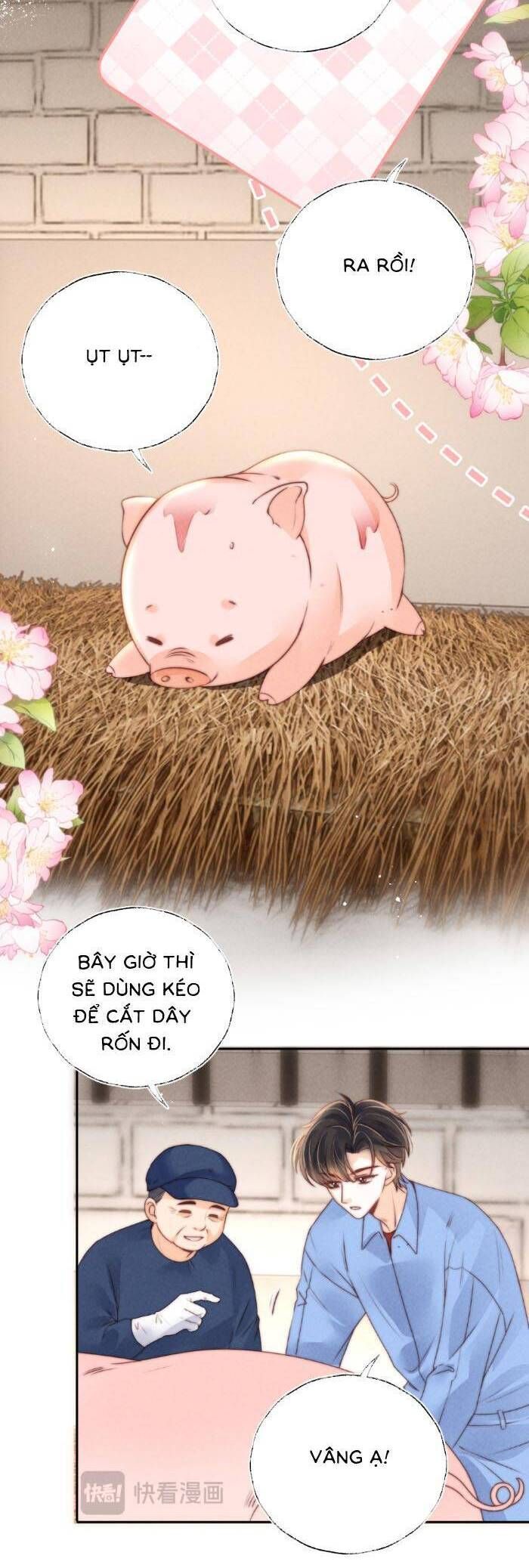 Cô Tổ Mới Ba Tuổi Rưỡi, Ôm Xem Bói Được Cả Mạng Yêu Chiều Chapter 20 - Trang 12