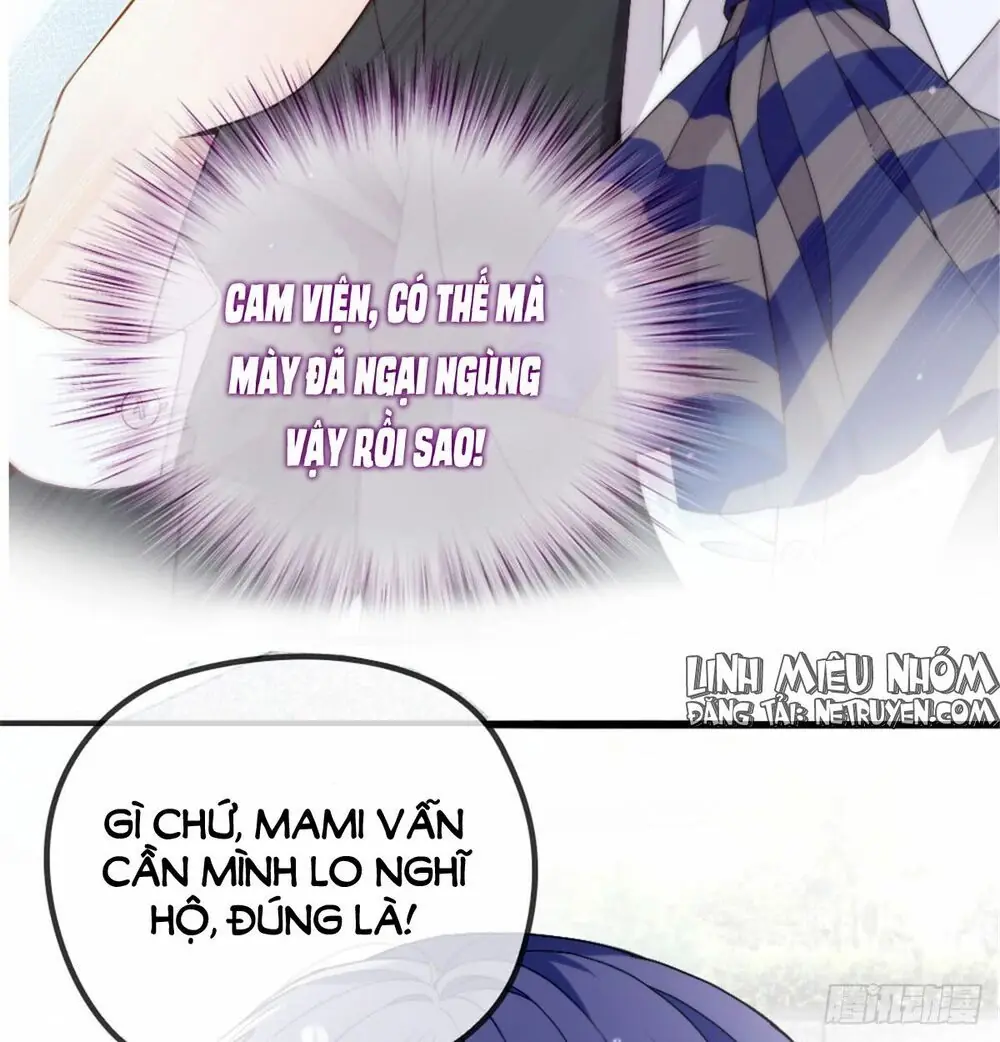 Cô Vợ Mang Thai Một Tặng Một Chapter 1 - Trang 24