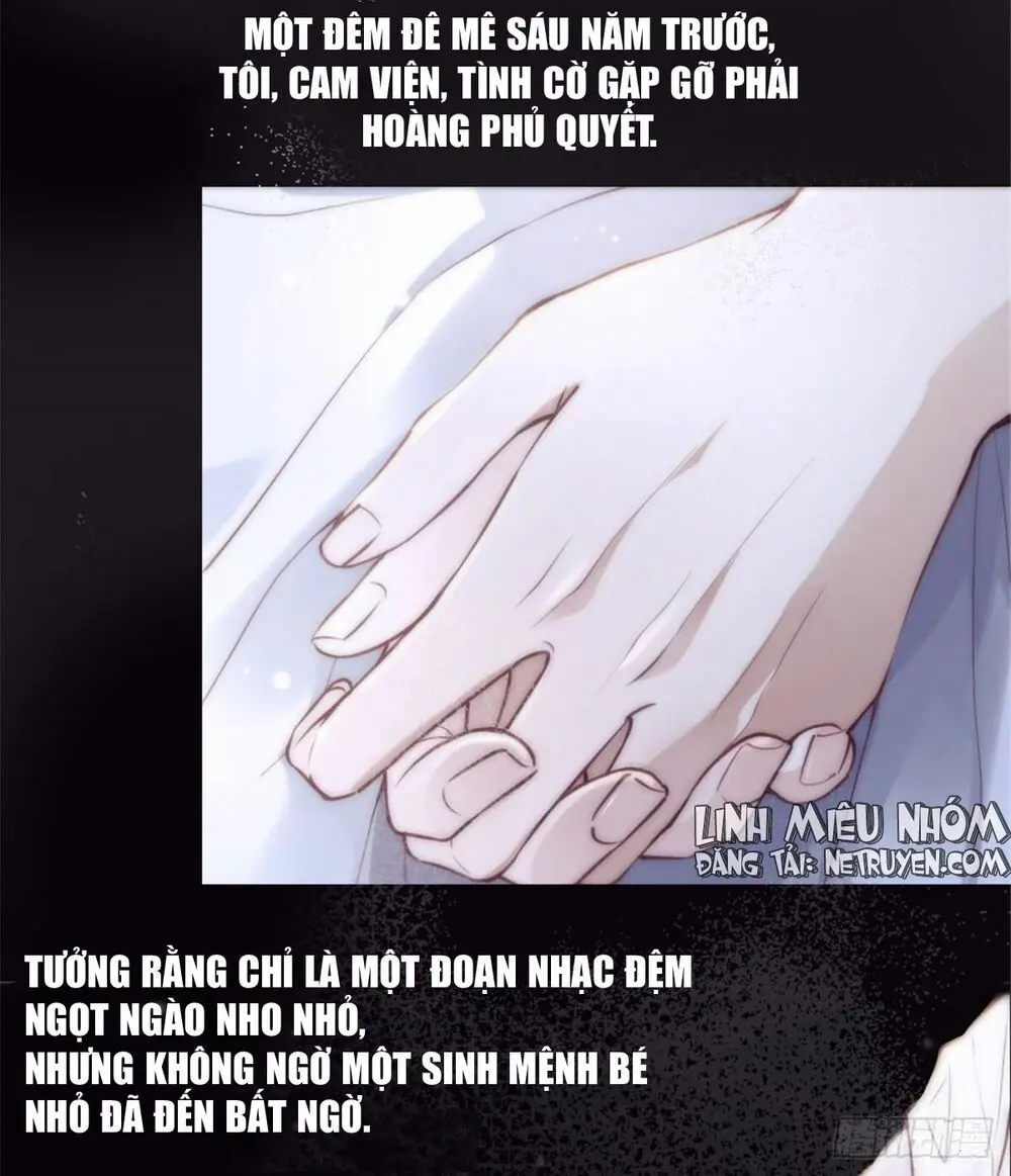 Cô Vợ Mang Thai Một Tặng Một Chapter 1 - Trang 9