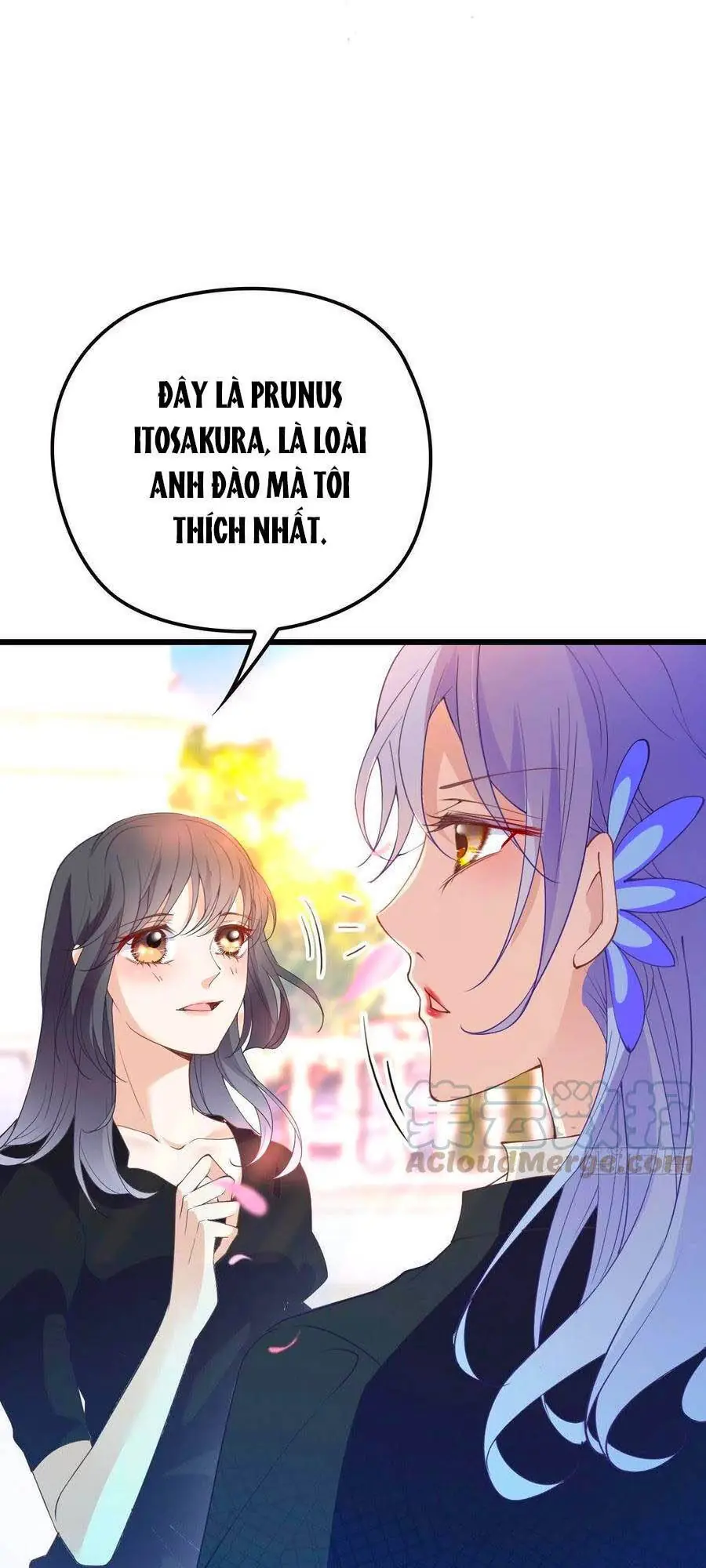 Cô Vợ Mang Thai Một Tặng Một Chapter 111 - Trang 19