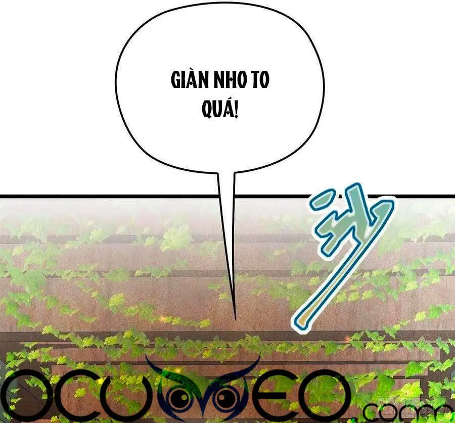 Cô Vợ Mang Thai Một Tặng Một Chapter 115 - Trang 13