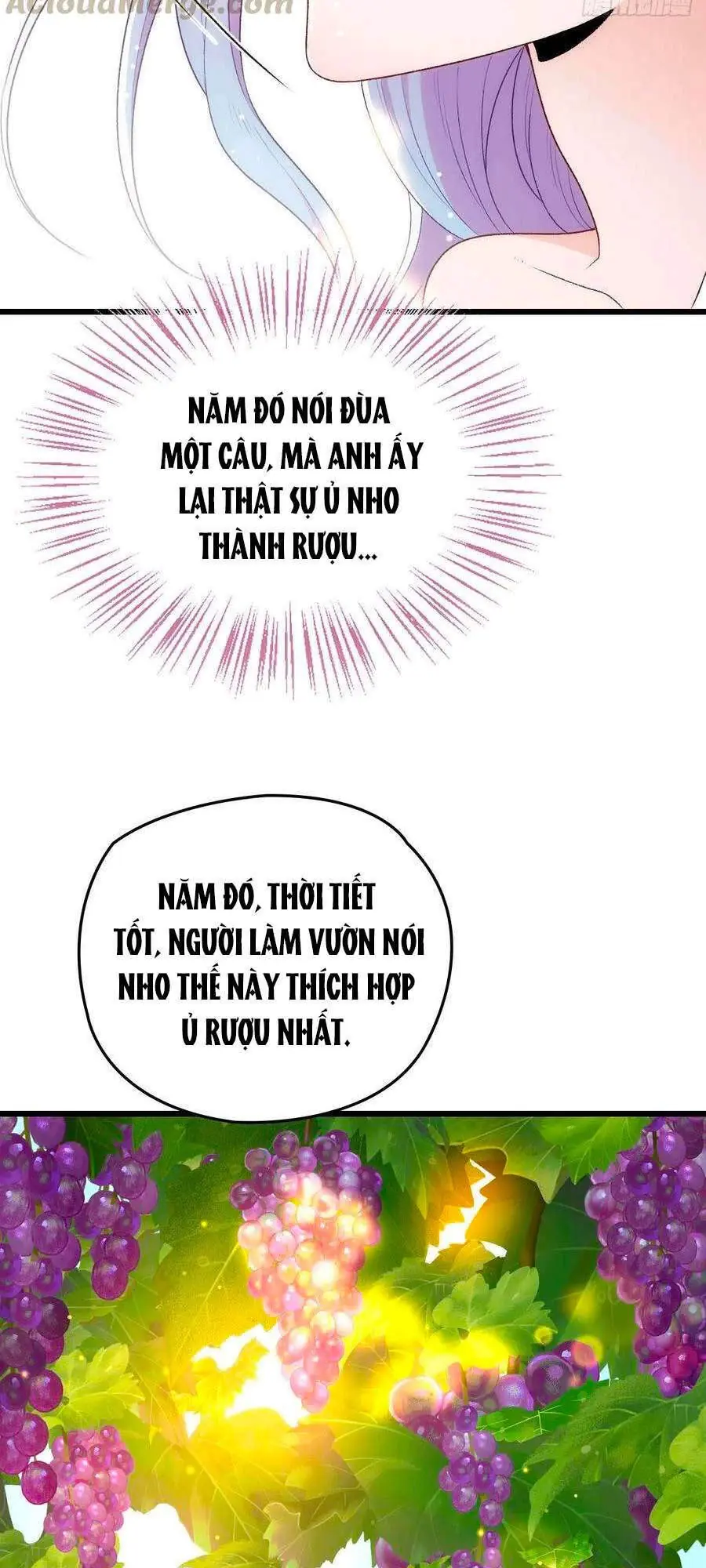 Cô Vợ Mang Thai Một Tặng Một Chapter 115 - Trang 17