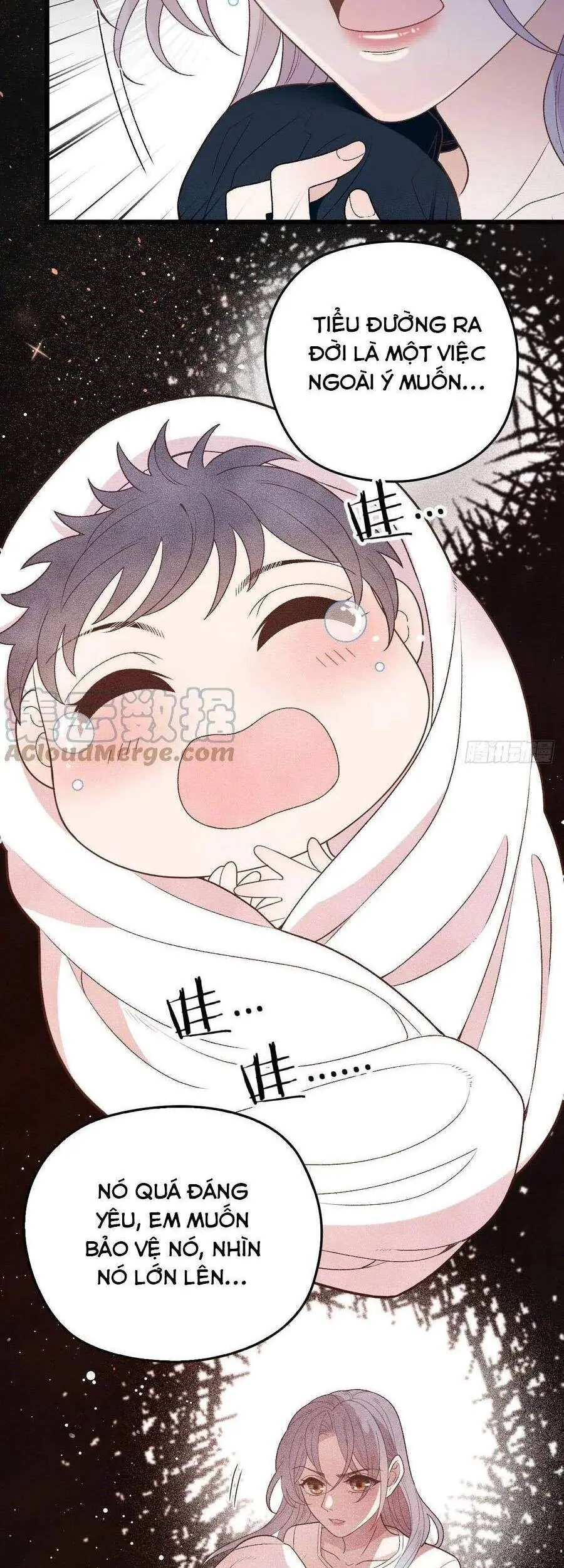 Cô Vợ Mang Thai Một Tặng Một Chapter 148 - Trang 8