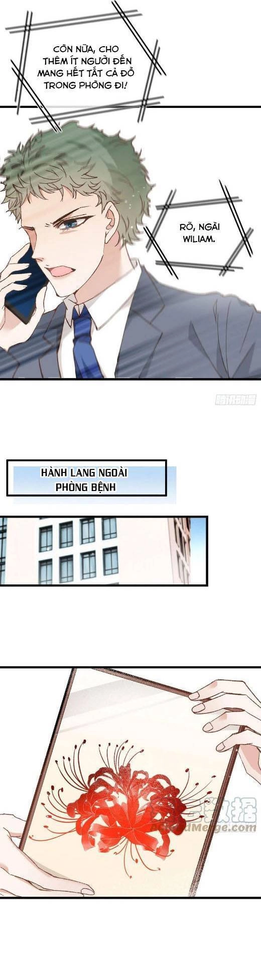 Cô Vợ Mang Thai Một Tặng Một Chapter 161 - Trang 5