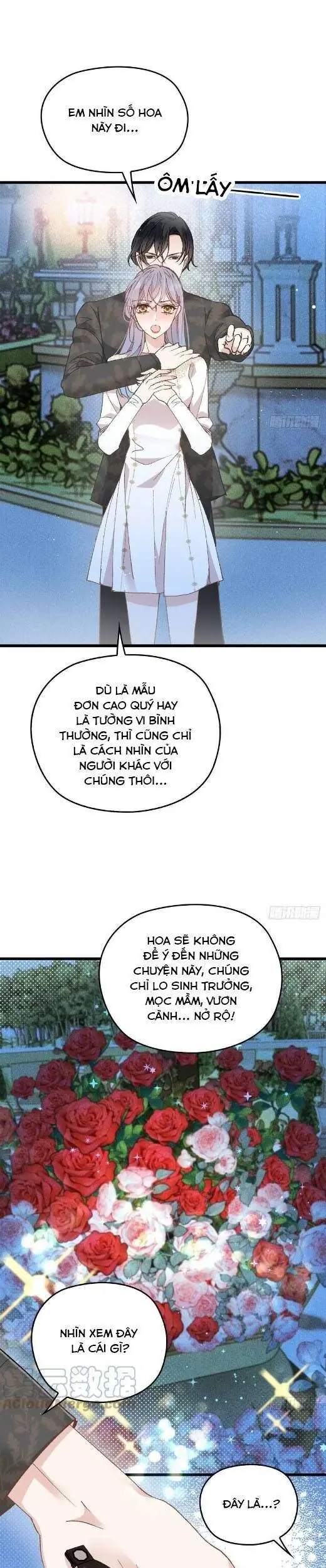 Cô Vợ Mang Thai Một Tặng Một Chapter 164 - Trang 12