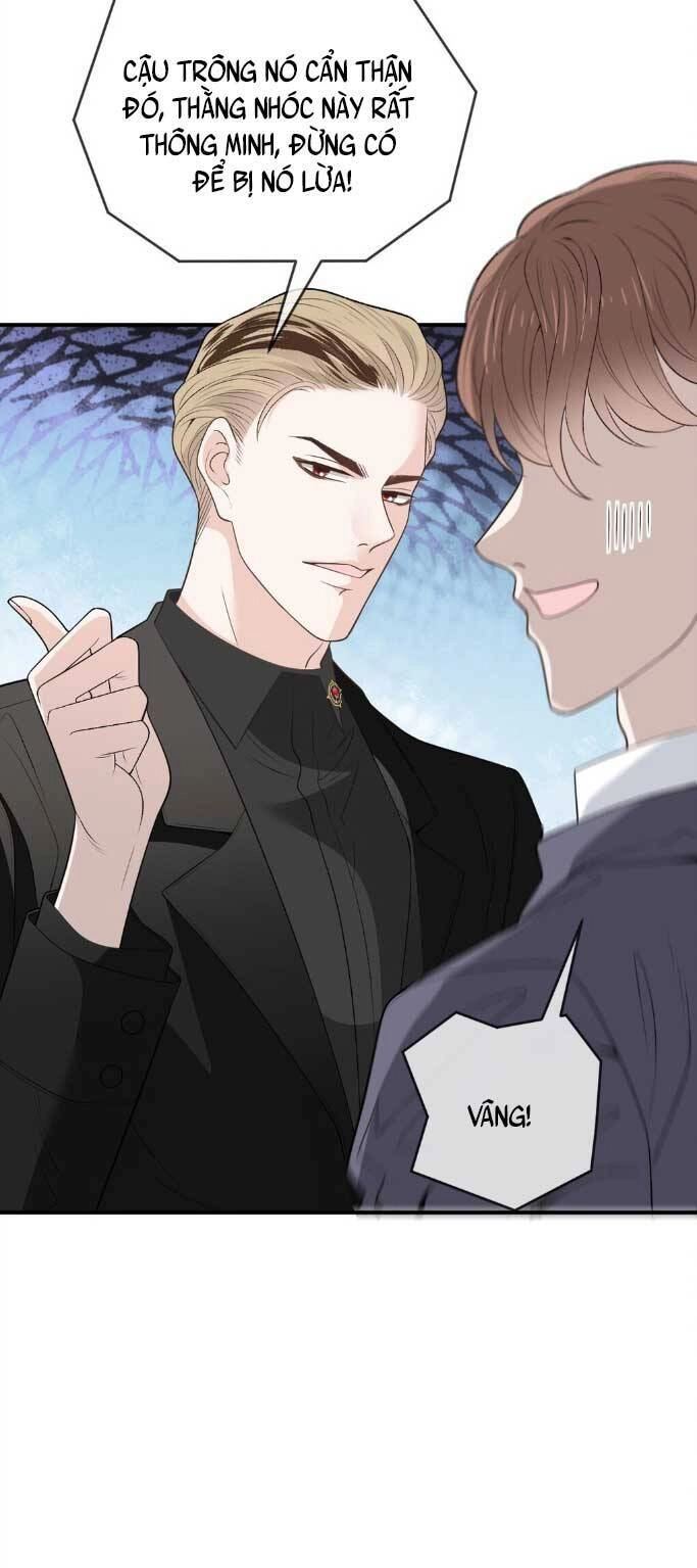 Cô Vợ Mang Thai Một Tặng Một Chapter 264 - Trang 6