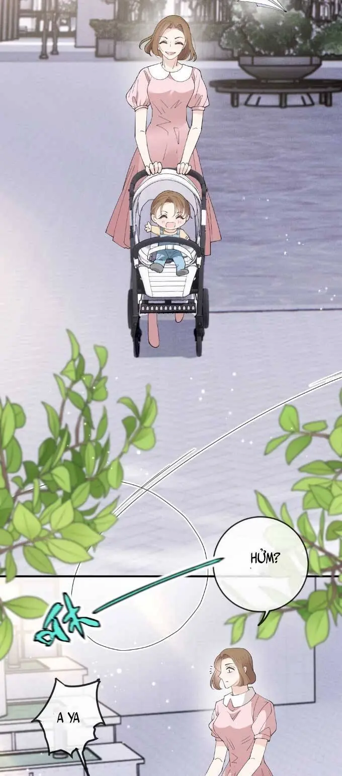 Cô Vợ Mang Thai Một Tặng Một Chapter 268 - Trang 11