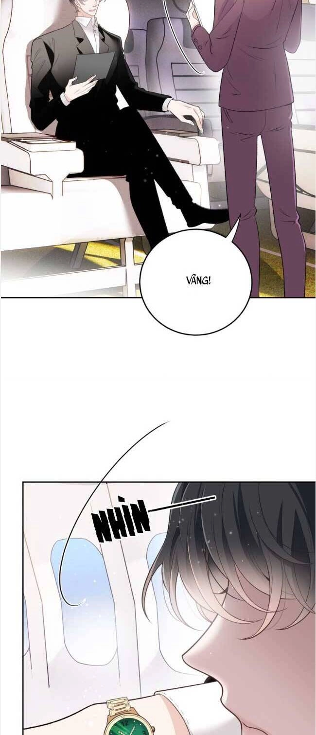 Cô Vợ Mang Thai Một Tặng Một Chapter 269 - Trang 8
