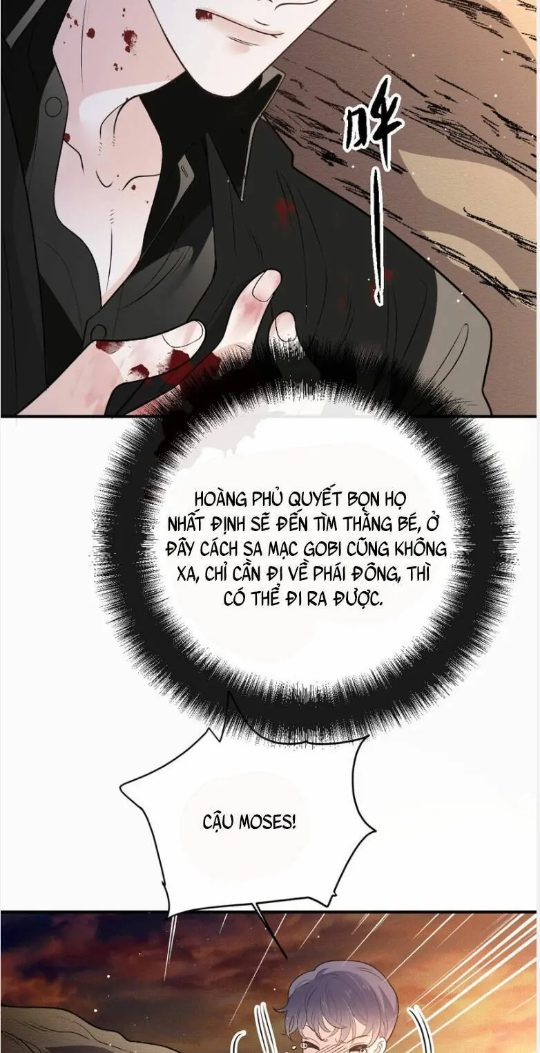 Cô Vợ Mang Thai Một Tặng Một Chapter 279 - Trang 11