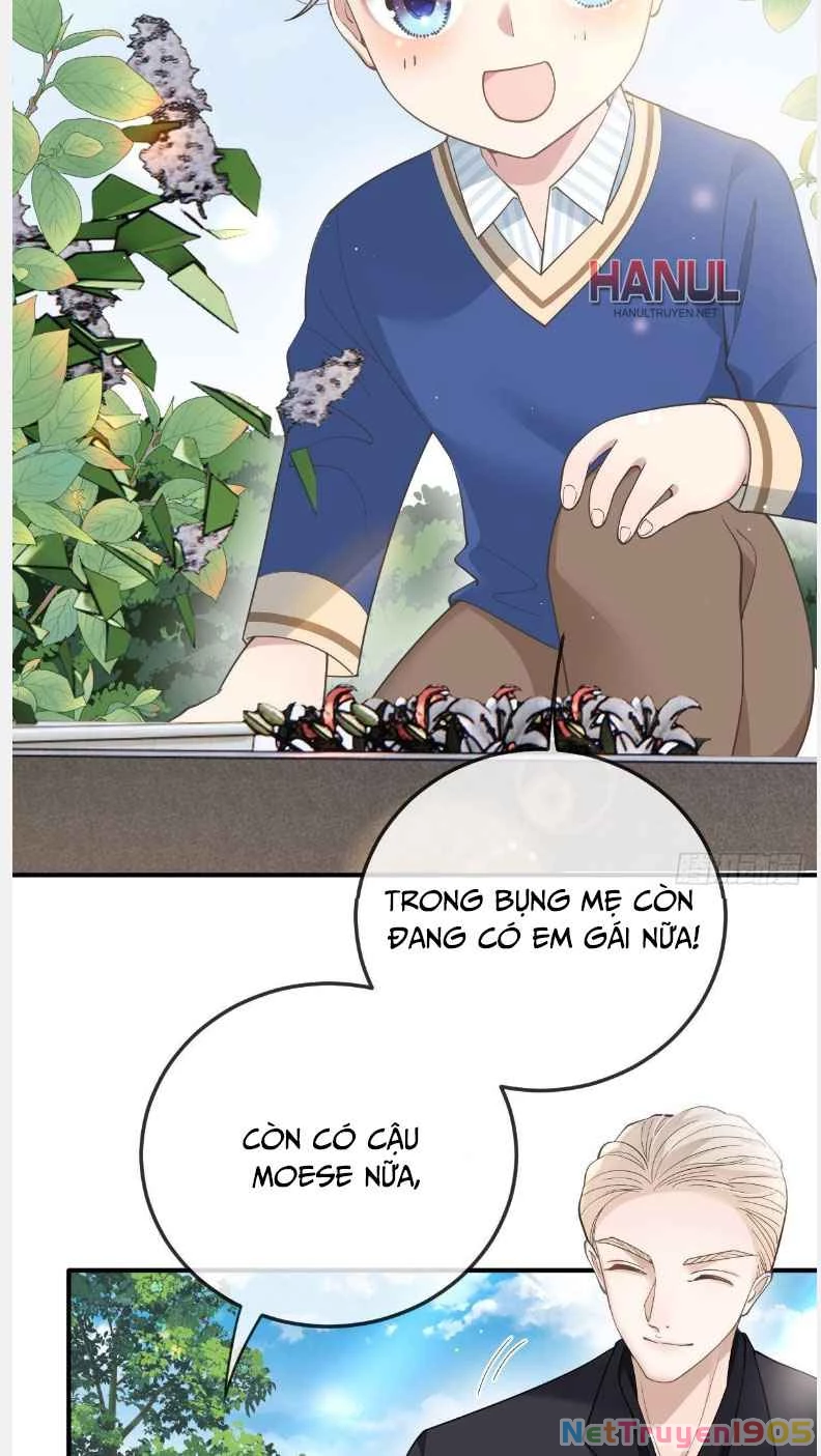 Cô Vợ Mang Thai Một Tặng Một Chapter 309 - Trang 17