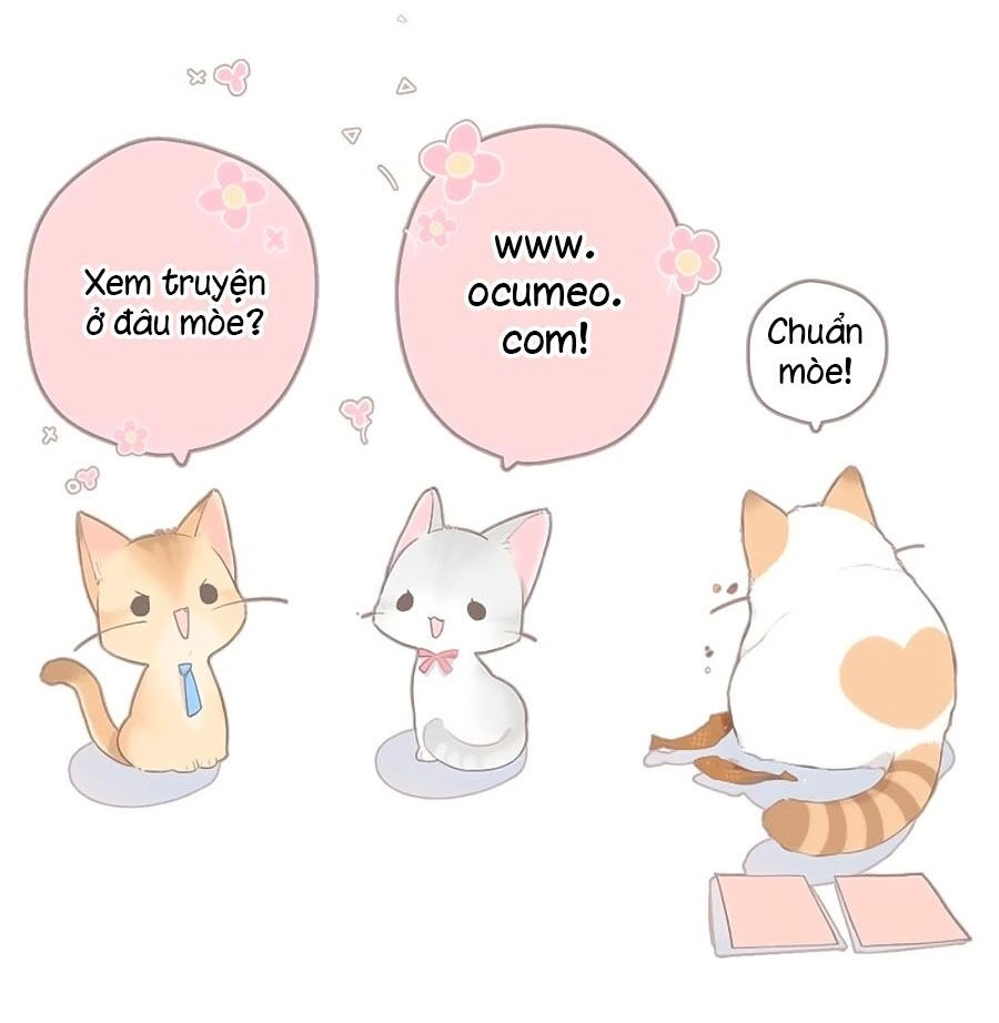 Cô Vợ Mang Thai Một Tặng Một Chapter 47 - Trang 41