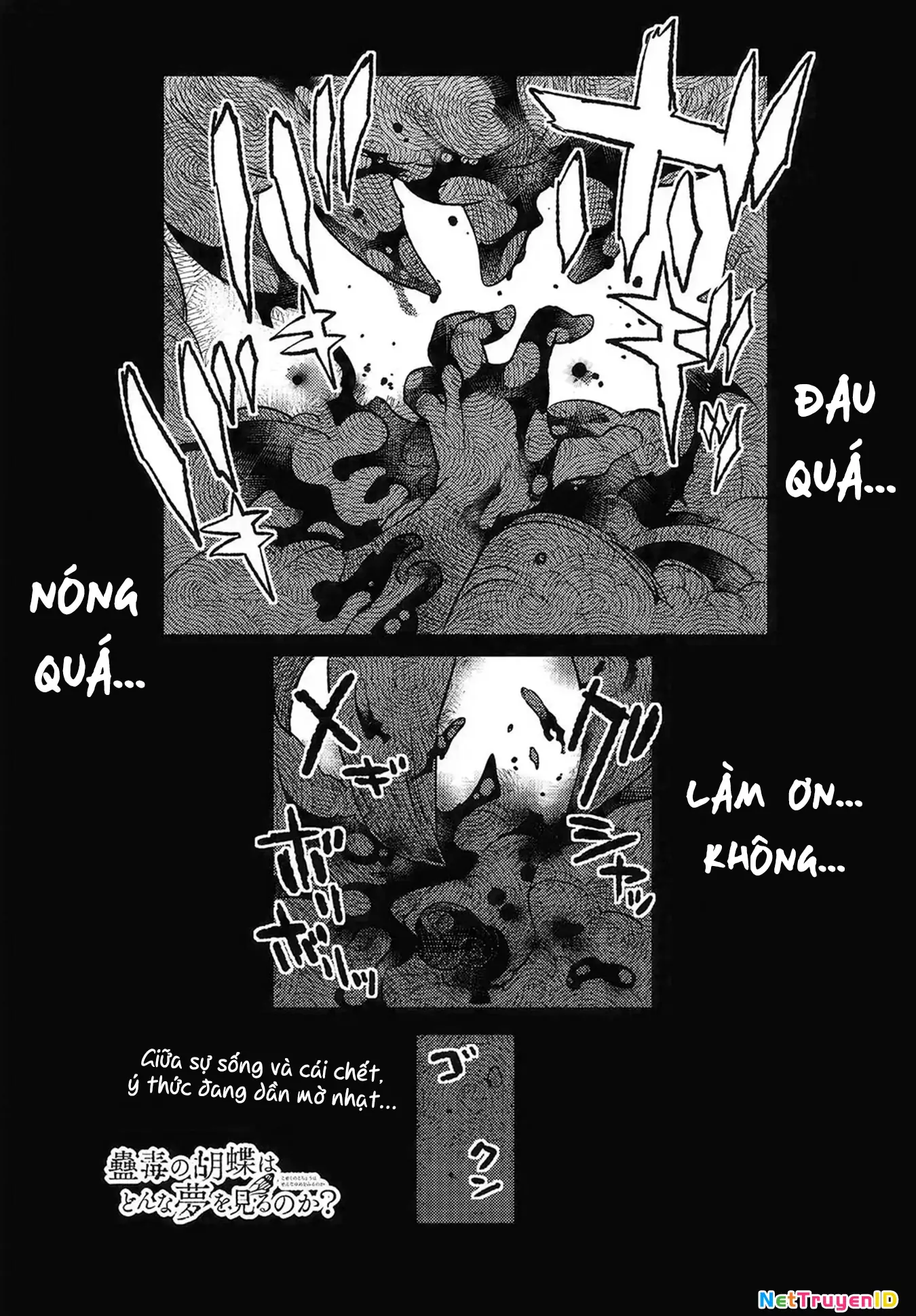 Con bướm độc đã có giấc mơ về điều gì? Chapter 5 - Trang 4