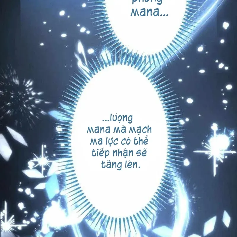 Con Đường Ma Pháp Của Kiếm Thánh Trọng Sinh Chapter 11 - Trang 11