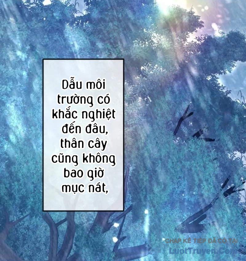 Con Đường Ma Pháp Của Kiếm Thánh Trọng Sinh Chapter 18 - Trang 46