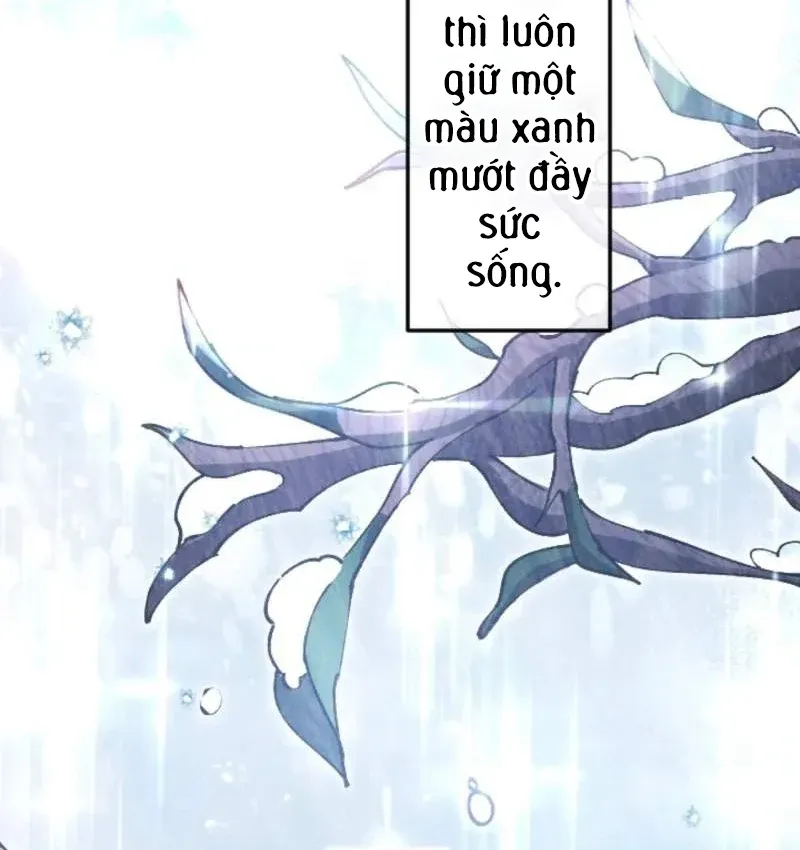 Con Đường Ma Pháp Của Kiếm Thánh Trọng Sinh Chapter 18 - Trang 48