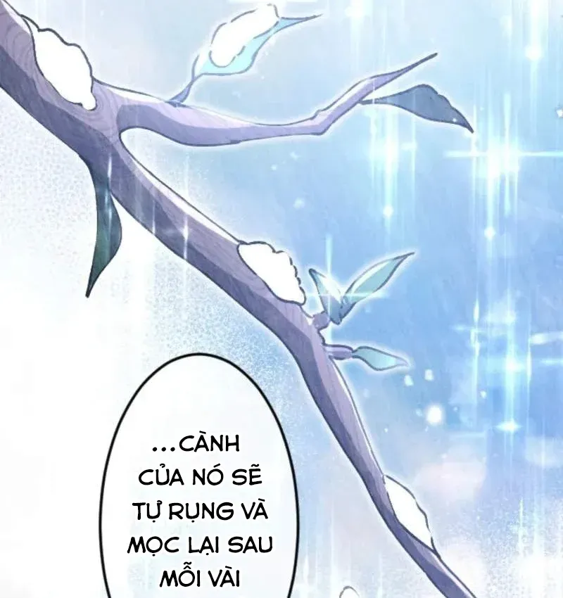Con Đường Ma Pháp Của Kiếm Thánh Trọng Sinh Chapter 18 - Trang 49