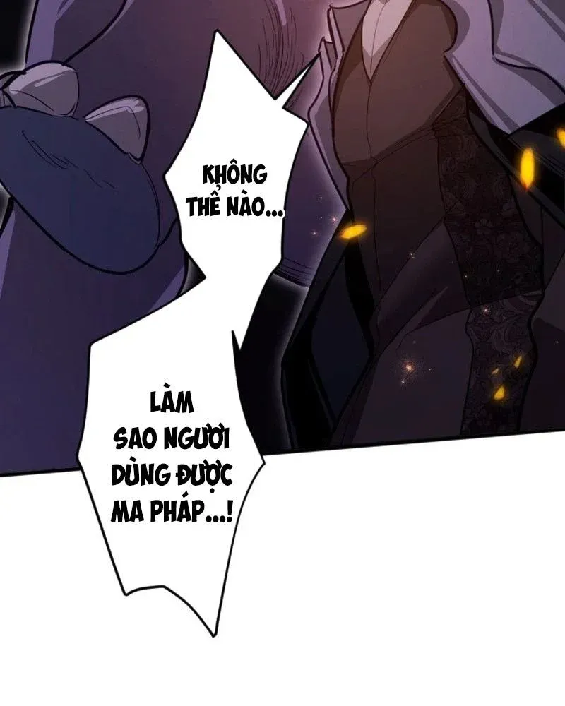 Con Đường Ma Pháp Của Kiếm Thánh Trọng Sinh Chapter 23 - Trang 49
