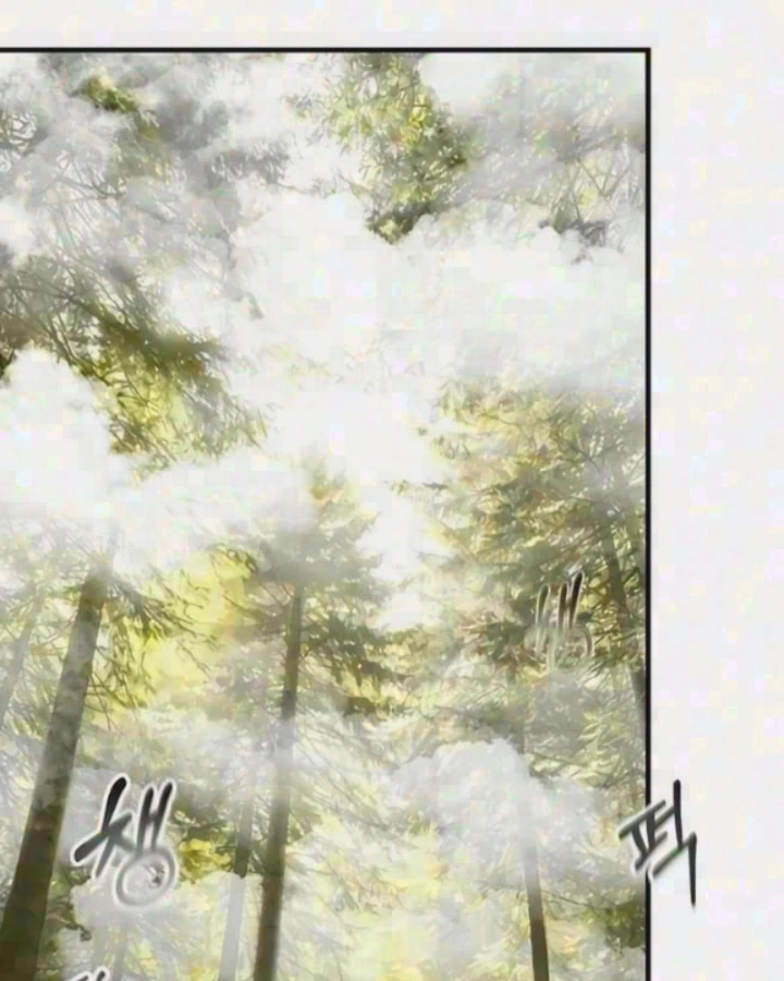 Con Đường Trở Về Nam Cung Của Kiếm Đế Chapter 14 - Trang 5
