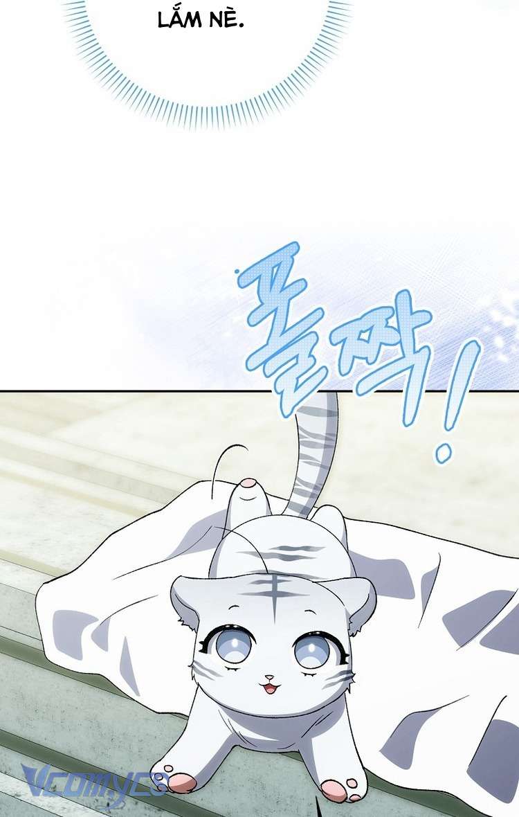 Công Chúa Bạch Hổ Không Có Nguy Hiểm Nha! Chapter 10 - Trang 10