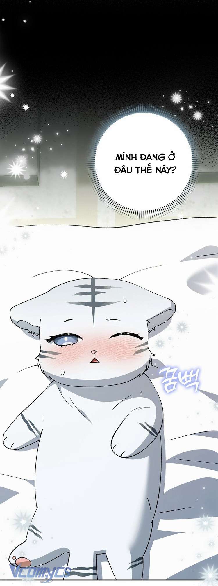Công Chúa Bạch Hổ Không Có Nguy Hiểm Nha! Chapter 10 - Trang 4