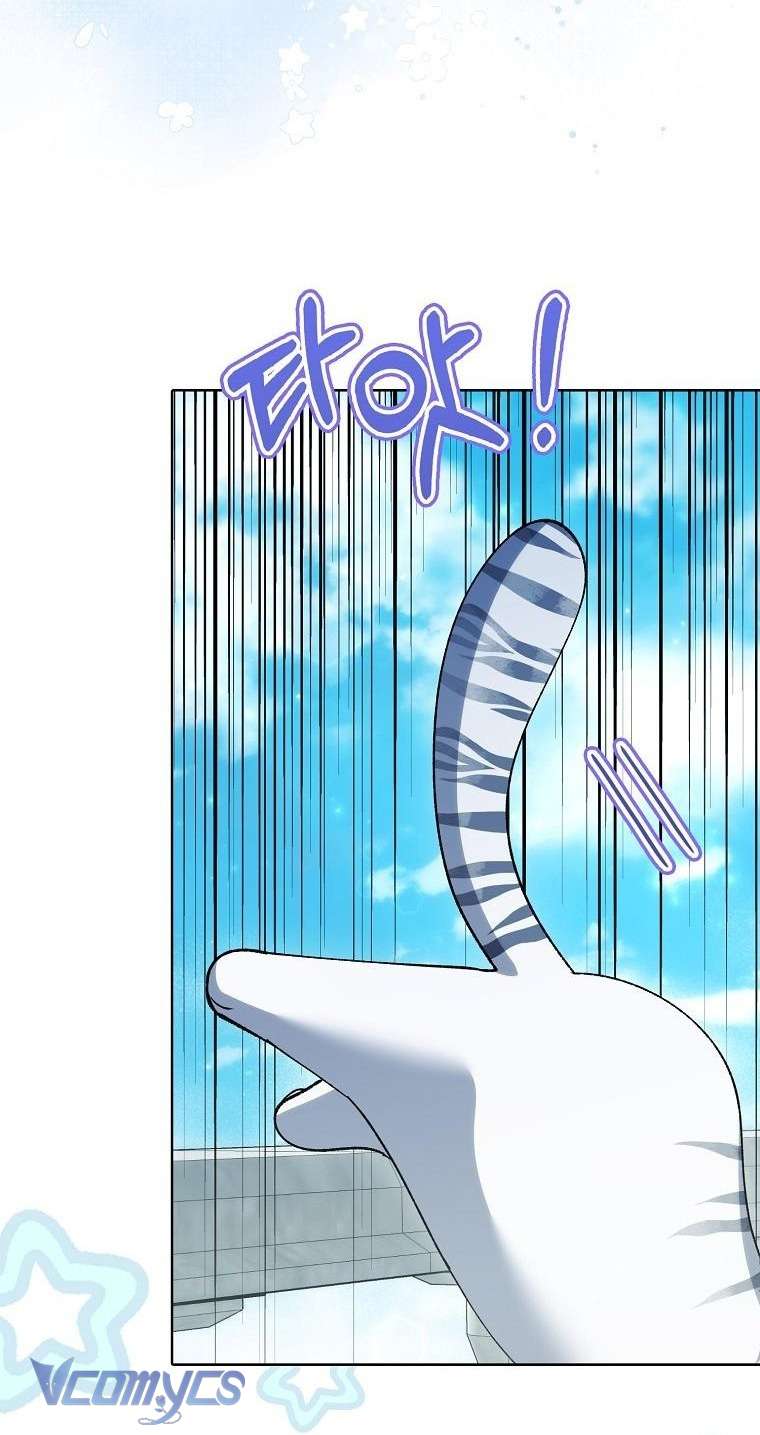 Công Chúa Bạch Hổ Không Có Nguy Hiểm Nha! Chapter 12 - Trang 9